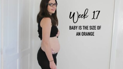 الاسبوع 17 من الحمل وحركة الجنين