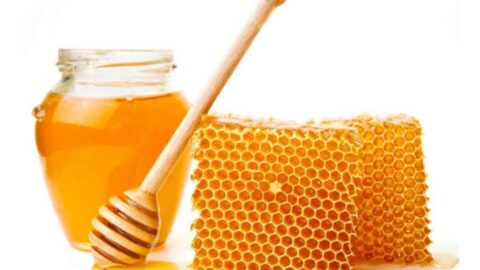 فوائد العسل الملكي للنساء والرجال