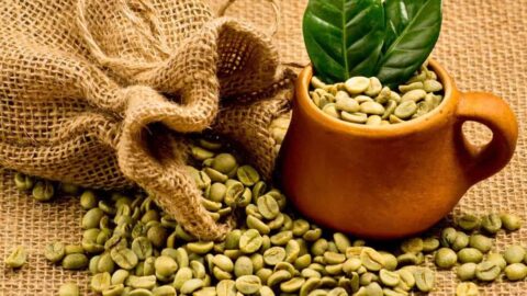 فوائد القهوة الخضراء وطريقة استعمالها