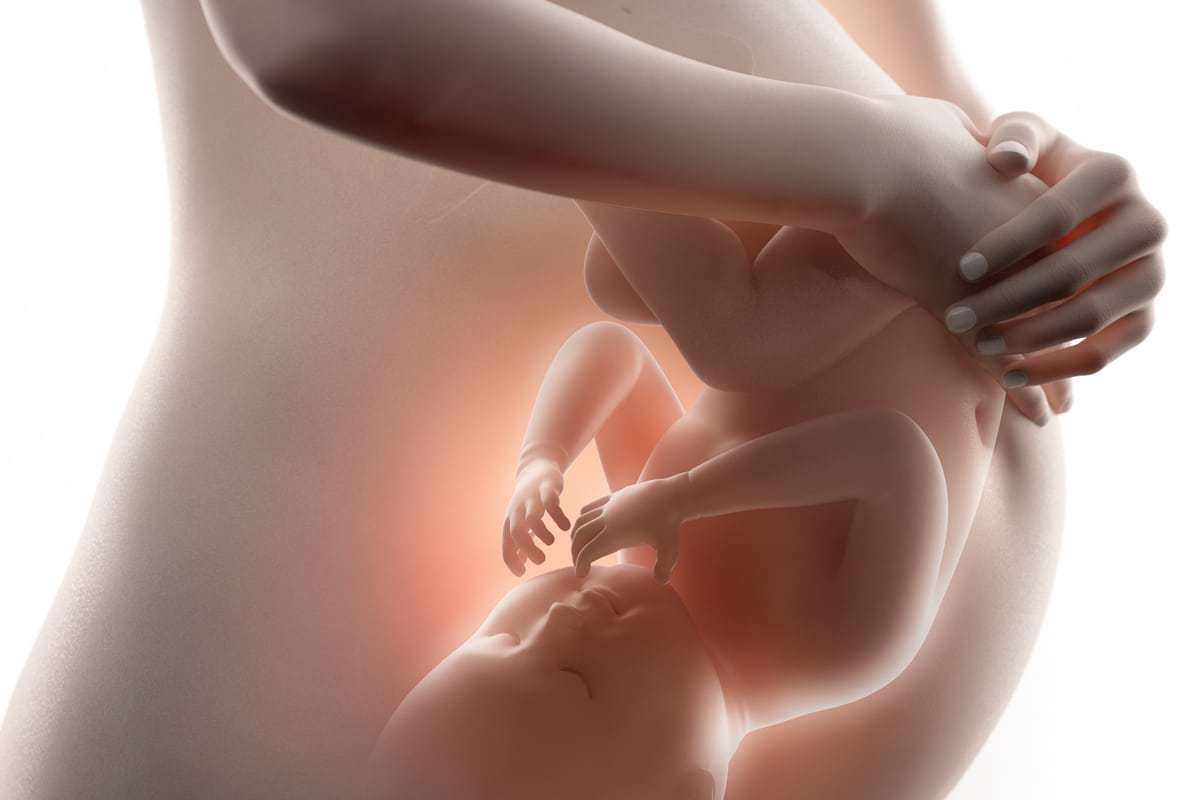 متى تشعر الحامل بحركة الجنين