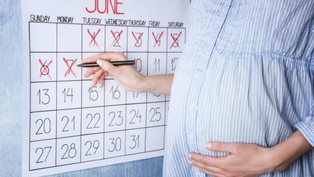 حاسبة الحمل بالأشهر مجرب