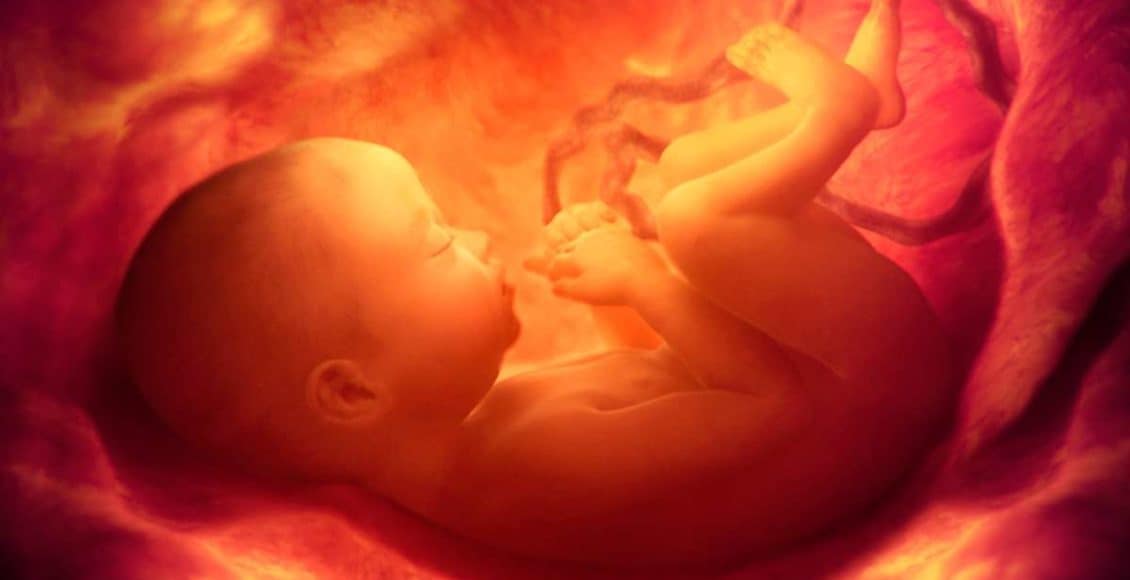 تطورات الجنين في الشهر التاسع حتى موعد الولادة أنا مامي