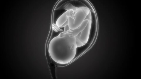 اسباب تأخر نزول الجنين في الحوض وعلامات قرب الولادة