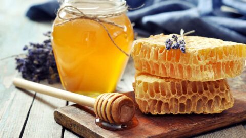 ما هي اضرار العسل للحامل وفوائده والكمية المسموح بها لتناوله