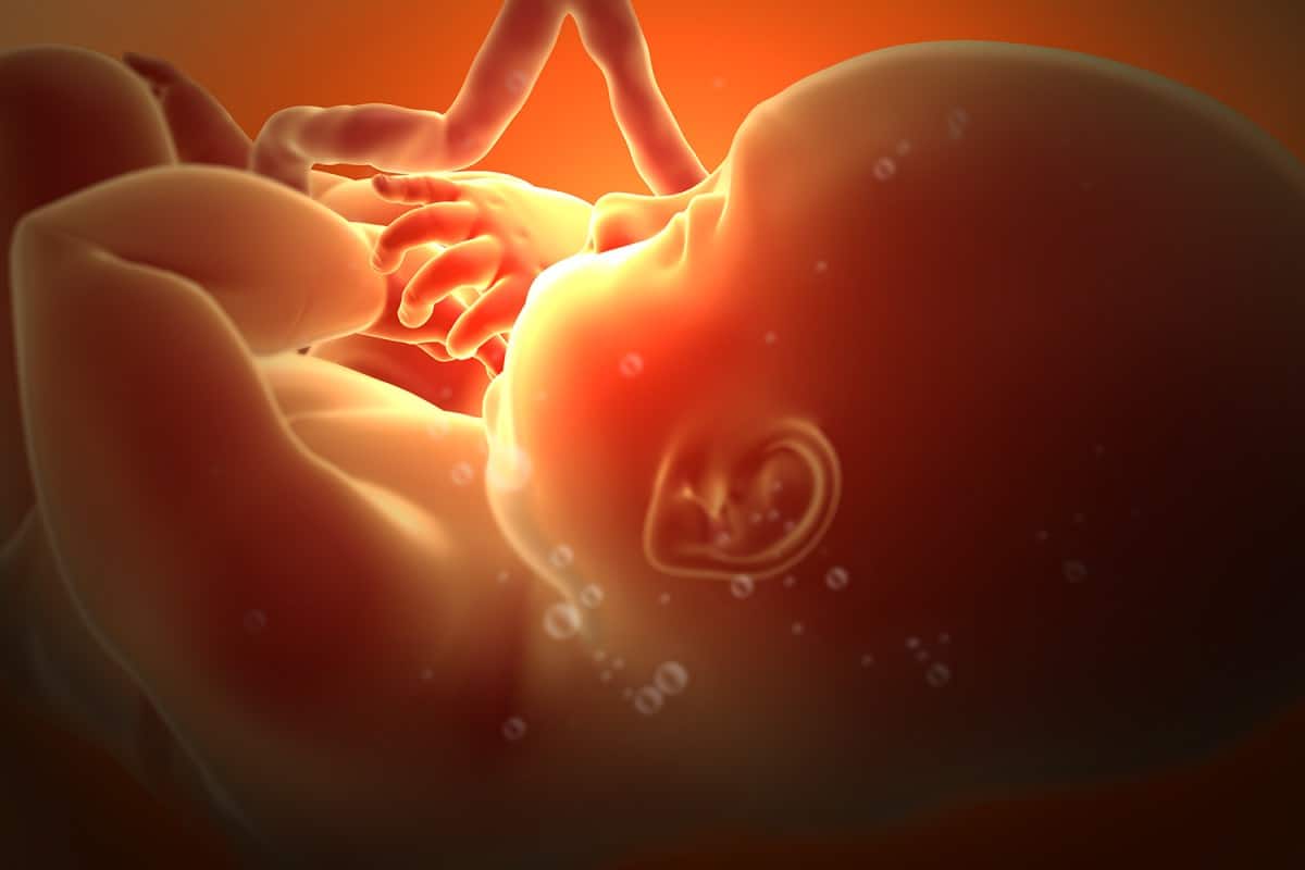 مراحل نمو الجنين بالصور شهريا أنا مامي