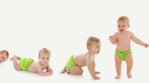 مراحل نمو وتطور الطفل بعد الولادة