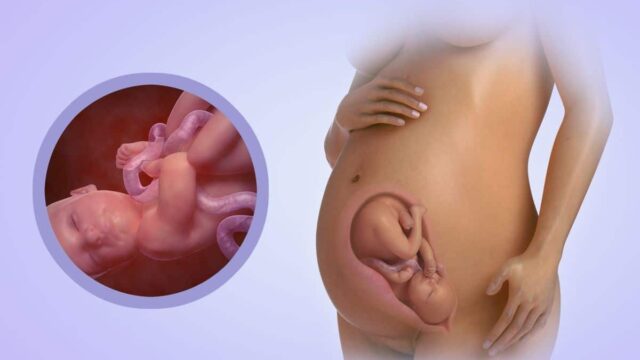 اعراض نزول الجنين في الحوض