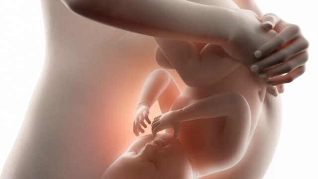 وضعية الجنين في الشهر الثامن بالصور
