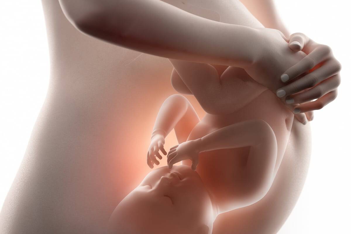 كيف يكون الجنين في الشهر الثامن من الحمل