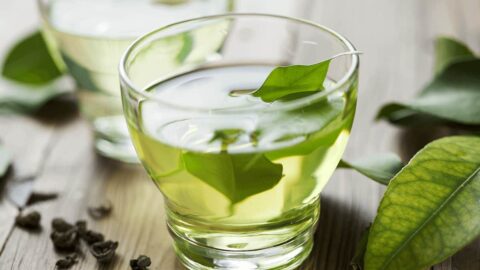 هل يمكنني شرب الشاي الأخضر أثناء الحمل