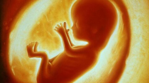 ما تطورات الجنين في الشهر الخامس