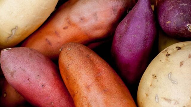 ماهي فوائد البطاطا المسلوقة للحامل