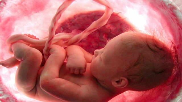تطورات الاسبوع الثاني عشر من الحمل للأم والجنين