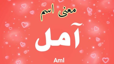 معنى اسم أمل Aml وصفاتها وشخصيتها