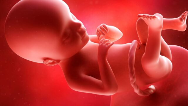 أعراض موت الجنين في بطن الأم وأسباب الاجهاض التلقائي