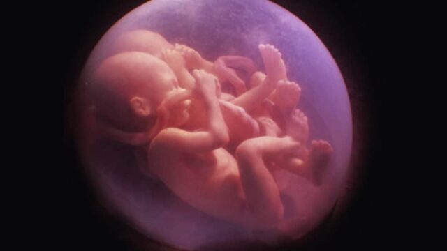 ما هي مراحل نمو الجنين في الاسبوع الخامس والتغيرات التى تظهر على الأم