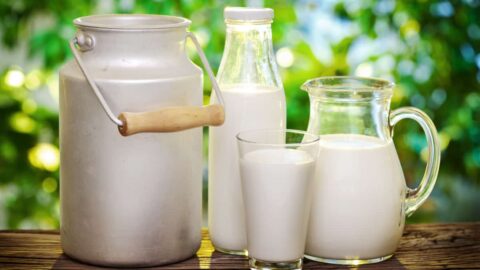 هل الحليب مفيد للحامل فوائد اللبن للحامل والجنين والكمية المسموح بها