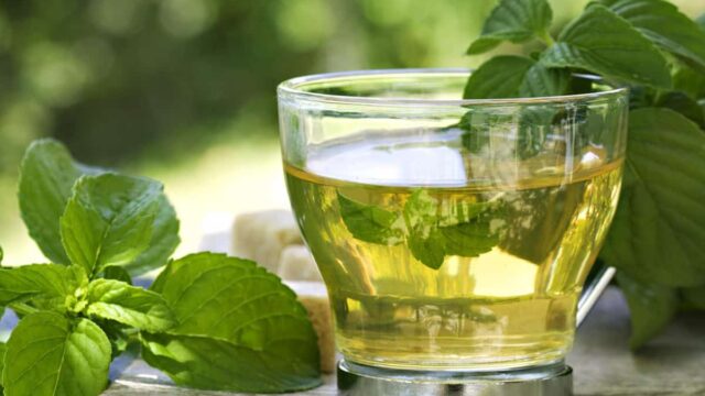 هل شاي الأعشاب لتهدئة المعدة والأمعاء آمن للأطفال أم لا ؟