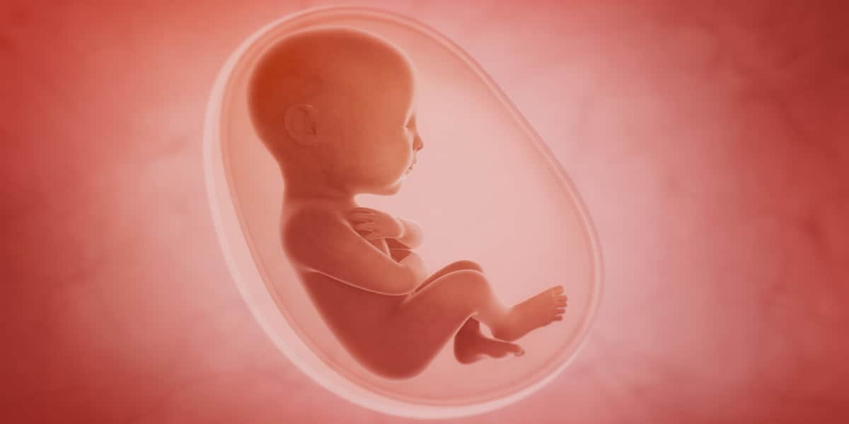 क्या नर भ्रूण की गति बाईं ओर होनी चाहिए?
