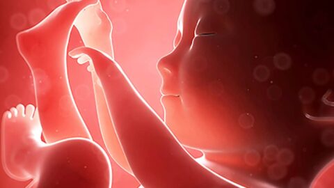 قلة حركة الجنين في الشهر السادس التشخيص والأسباب والعلاج