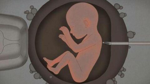 هل الزعل يسبب موت الجنين أو الإجهاض .. الحزن وتأثيره على الجنين