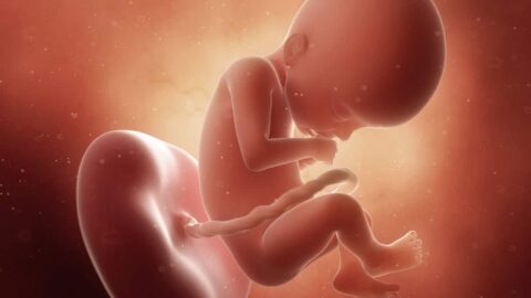 هل يعيش الجنين في الشهر السابع ( تجارب الولادة في السابع)