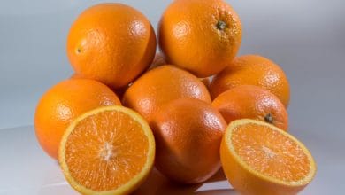 ماذا يحدث للجنين عند اكل البرتقال
