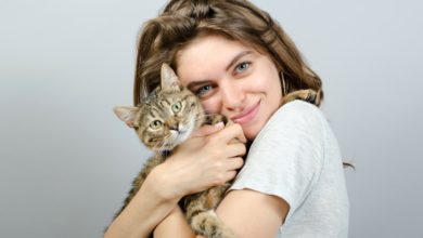 هل تربية القطط في المنزل تسبب العقم عند البنات والشباب