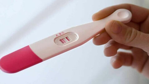 تفاصيل اليوم الثامن من ترجيع الأجنة (أعراض الحمل ومتي يثبت الجنين ومتي يظهر الحمل)
