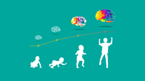 مراحل نمو الطفل في علم النفس