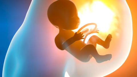 وضع الجنين في الشهر السادس داخل الرحم