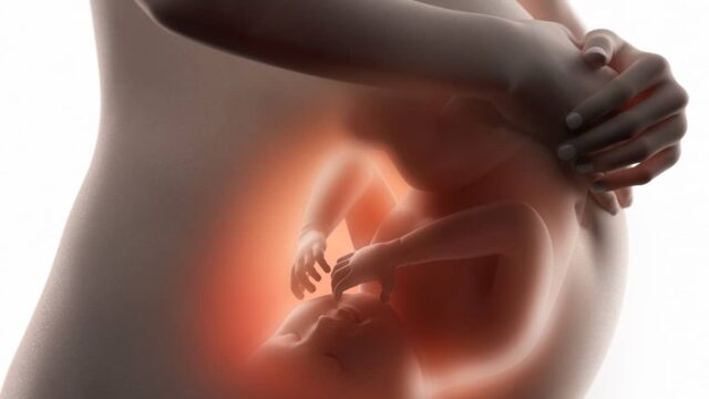 نبض الجنين يسار البطن نبض الجنين جهة الشمال التشخيص الصحيح