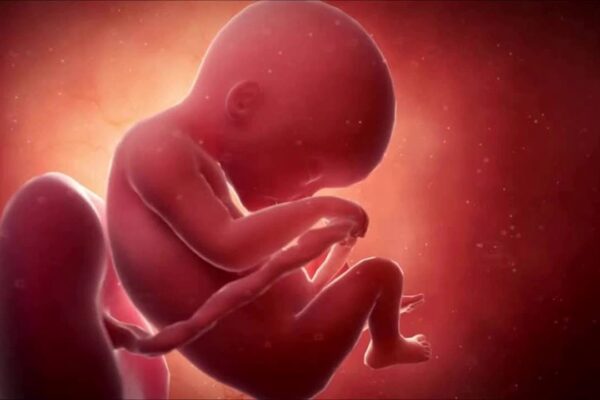 الجنين أصغر من عمره باسبوعين في الشهر الثاني هل يستمر الحمل أو بداية إجهاض