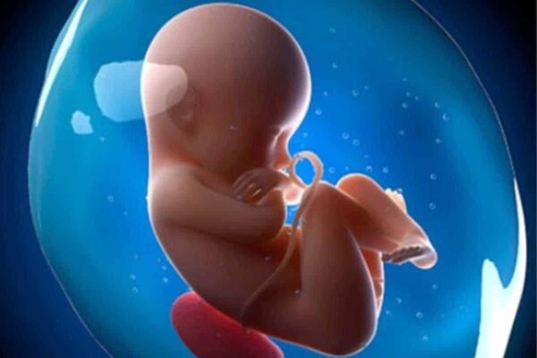 تفسير الجنين اصغر من عمره بأسبوعين في الشهر السابع – طريقة التعامل أثناء الحمل وبعد الولادة