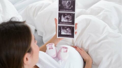 الجنين في الشهر الرابع أين يكون التطورات هل في بدايه البطن أو اسفل البطن تجاربكم