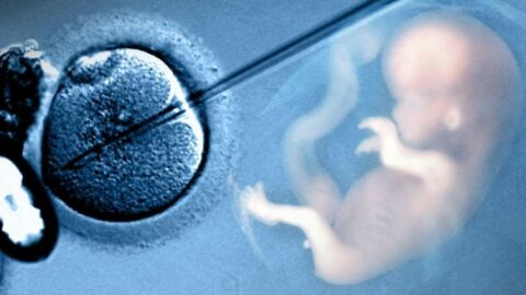 نسبة الحمل بعد فشل الحقن المجهري (أقصى عدد لتكرار عملية إرجاع الجنين)