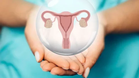 العلاقة بين تكيس المبايض ومخزون البويضات – تأثيره على فرصة الحمل