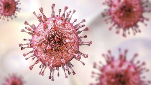 cmv فيروس المضخم للخلايا وهل يمكن الشفاء منه