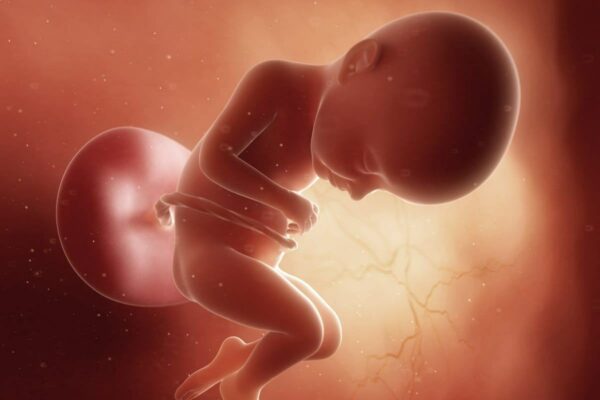 تفسير حركة الجنين كالنبض هل يدل على سلامة الجنين أم إنذار بالإجهاض